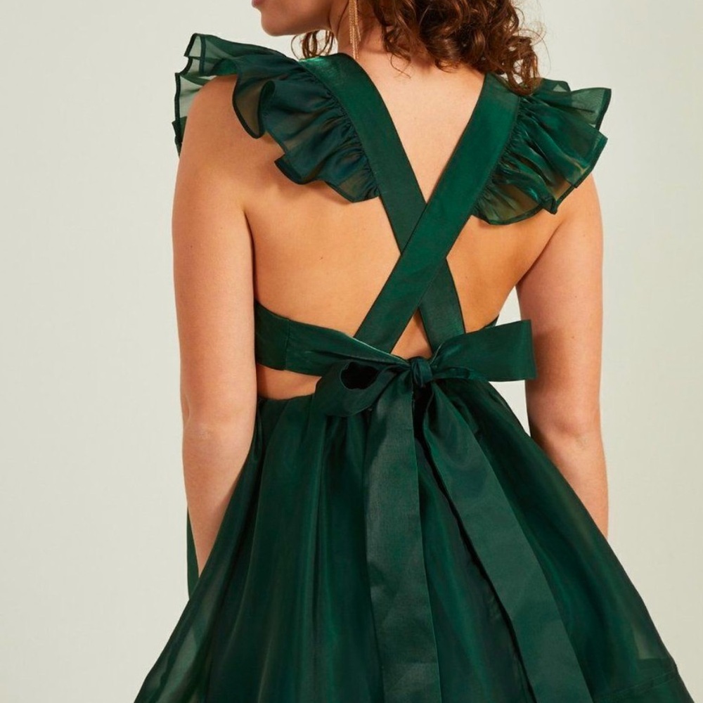 Organza dress